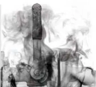 Figure 1 – Exemple de fuites de gaz COV détectées par caméra infrarouge (issue de http ://www.lspp.fr).