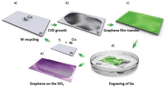 Figure II.8. Different stages of graphene growth on a drop of gallium (Ga) supported on a  substrate (W): a) a drop of Ga placed on a support sheet (W), b) CVD growth of the graphene on 