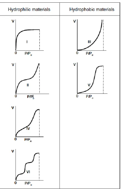Figure 1-16 : Classification de l’IUPAC des isothermes de  sorption, prise en compte de  l’hydrophilicité de l’adsorbant ([25],[40]) 