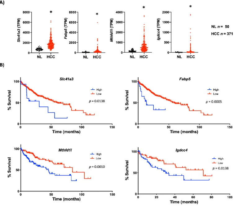 Figure 6. Lipid-associated four-gene signature of hepatocellular carcinoma (HCC) correlates with cholesterol overload in  human cancer cell lines