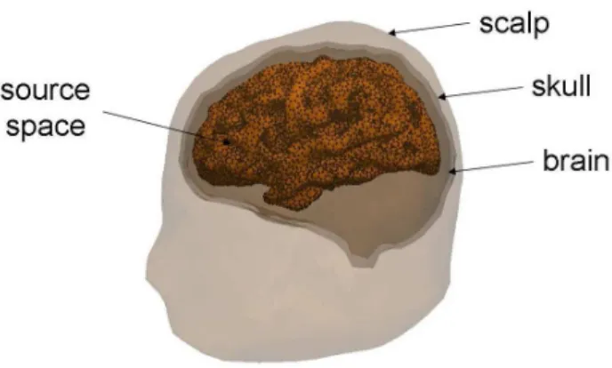 Figure 1: Illustration of a realistic head model with three compartments representing the brain, the skull, and the scalp and a source space that consists of a large number of dipoles (represented by black dots) located on the gray matter/white matter inte