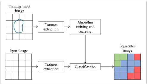 Fig. 5 Conventional pipeline of learning machine approach: in a first part, the algorithm is trained with  several pre-segmented volume and learned features of voxels labelled previously
