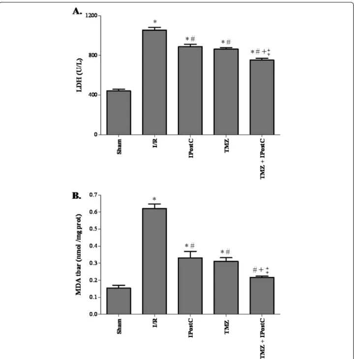 Figure 2 Evaluation of lactate dehydrogenase activity in plasma (A) and malonedialdehyde concentration in tissue (B)