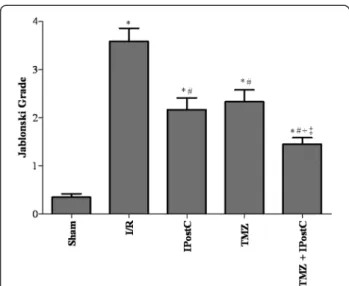 Figure 5 Jablonski scores. Histologic assessment was performed by an experimented renal pathologist who was unaware of the treatments