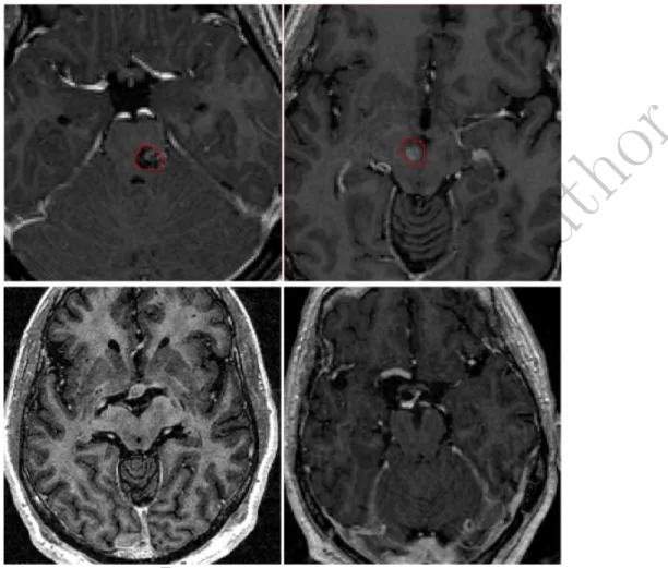 Figure 7: Some examples of images contained in the database employed in this work.