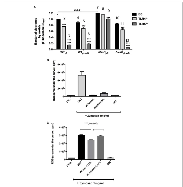 FigUre 5 | Role of TLR-5 in bacterial clearance and modulation of reactive oxygen species (ROS) production by PAO1 secretomes