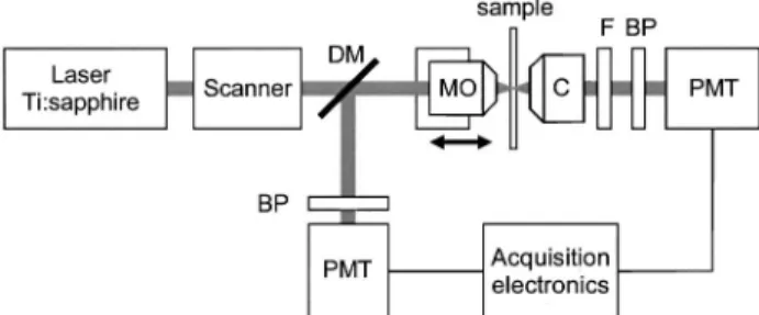 Fig. 3. Experimental layout: a Ti:sapphire laser beam is fo- fo-cused into a sample with a microscope objective (MO)