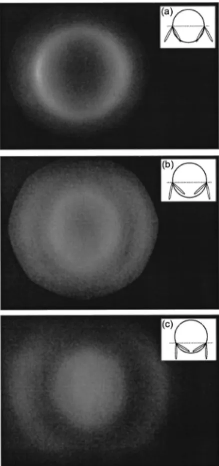 Fig. 6. Stack of CCD images of the back aperture of the SHG collection objective. The excitation beam, incident from above in the insets, is scanned through full cross sections of a GUV at various latitudes