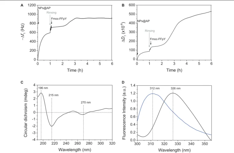 FIGURE 1 | Evolution of the (A) fundamental frequency shift and (B) dissipation value, measured by QCM-D at 5 MHz, during the deposition of NPs@AP on PEM precursor film, leading to NPs@AP coating, followed by the contact with Fmoc-FFpY solution leading to 