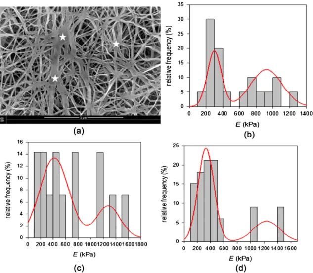 Figure 2. (a) SEM micrograph showing the fibrillary structure of the e-PTFE material. One can note the distribu- distribu-tion of nodes (stars) within the PTFE network