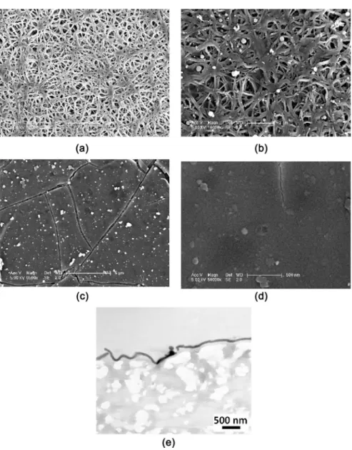 Figure 1. (a) SEM micrograph of the porous e-PTFE biomaterial. Scale bar = 5 µm. (b)  SEM micrograph of the e-PTFE_i surface