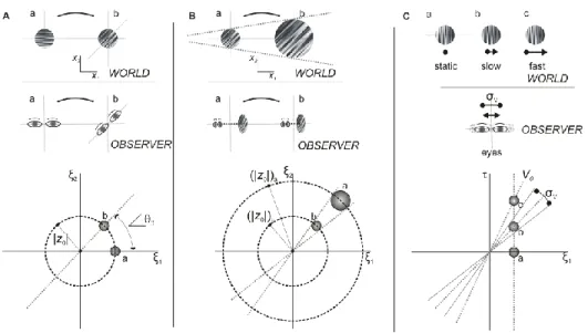 Figure 1: Parameterization of the class of Motion Clouds (MC) stimuli. The illustration relates the parametric changes in MC with real world (top row) and observer (second row) movements