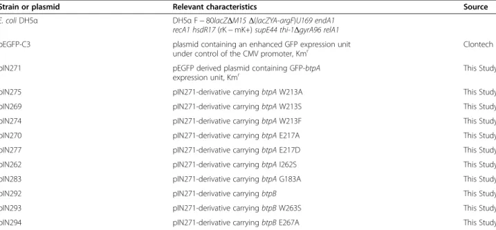Table 2 summarizes the plasmids used in this study.