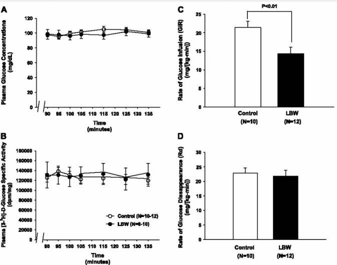 Fig. 1.  Insulin-stimulated glucose metabolism in 40-day-old control and low-birth-weight (LBW)  rats