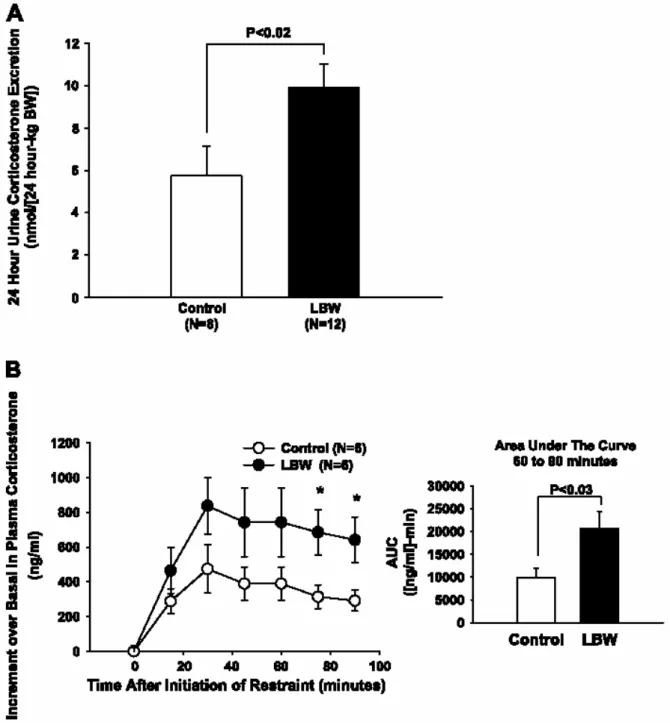 Fig. 3.  Corticosterone secretion in control and LBW rats.  A : 24-h urinary corticosterone excretion  in control and LBW rats ( n  = 8–12)