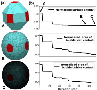 Fig. 3 (a) Bubble shapes at different stages during the relaxation of the bubble shape in the Surface Evolver simulation