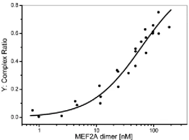 Fig. 4. Titration curve of MEF2A dimers for WT DNA (5 nM). MEF2A dimer concentration ranged from  0 to 200 nM