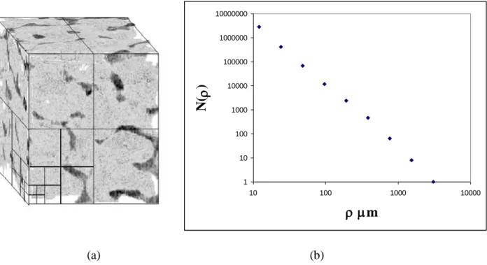 Fig. 4.  (a)  A 3D bone  volume with several  grids placed over the bone structure, and (b) the  Log-Log  plot of N(ρ) versus ρ for the bone volume specimen