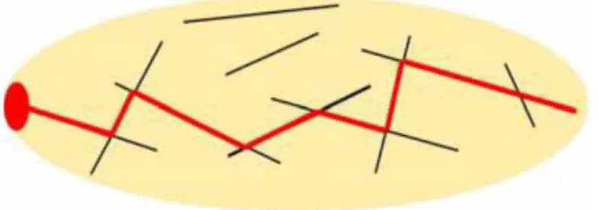 Fig. I. 6 Schéma de la création d’un réseau de ponts thermiques (trait rouge) crée par une  dispersion de nano- fibres (trait noir) dans un fluide (Beige) qui permet la propagation d’un point 