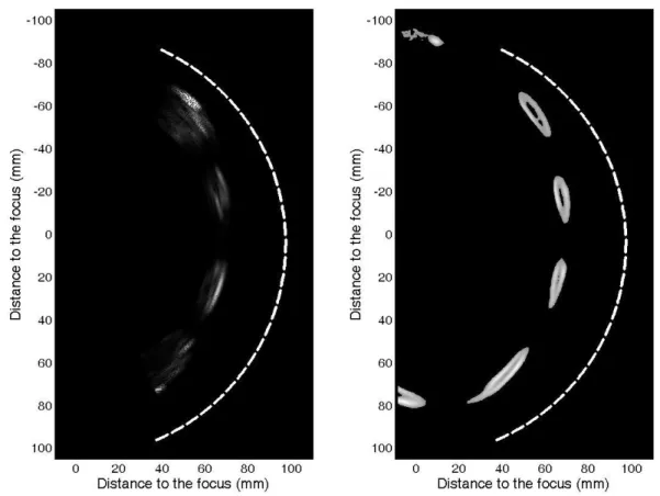 Figure  9:  (a)  pulse  echo  imaging  sequence  simulated  with  a  2D  finite  differences  code  (b)  ribs  configuration