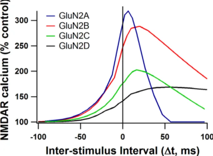 Figure 3. Calcium curves for different GluN2 subunit contain- contain-ing NMDARs. Dependence of NMDAR-mediated calcium on AP timing is different for each GluN2 subunit