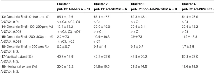 Table 8 | Spatial distribution of the dendritic arbor. Cluster 1 put-T2: Ad-NPY n = 11 Cluster 2 put-T1: Ad-SOM n =6 Cluster 3 put-T2: non-Ad-PV/SOM n = 8 Cluster 4 put-T2: Ad-VIP/CR n = 4 (13) Dendritic Sholl (0–100 µ m; %) 85.1 ± 19.6 56.1 ± 17.2 59.3 ± 