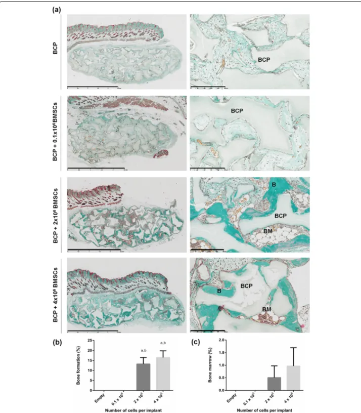 Figure 2 Optimal cell dosage for ectopic bone formation. (a) Masson trichrome staining shows biphasic calcium phosphate biomaterial (BCP, gray) in contact with newly formed bone (B, green)