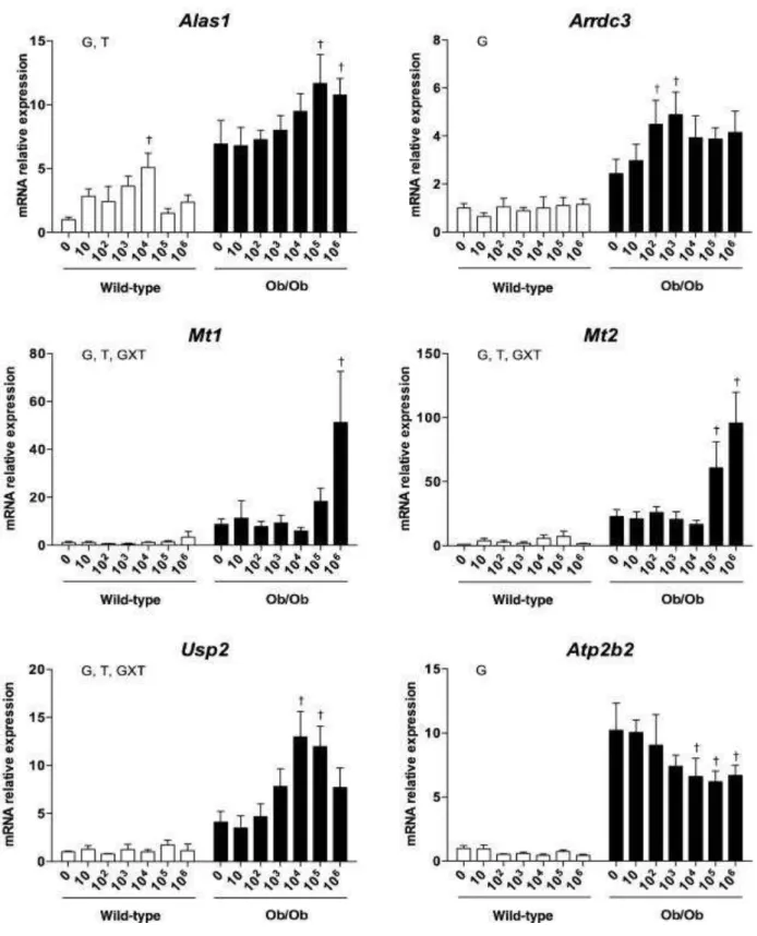 Figure 4. Hepatic mRNA expression of 6 non-circadian genes in male lean and obese mice treated 546 