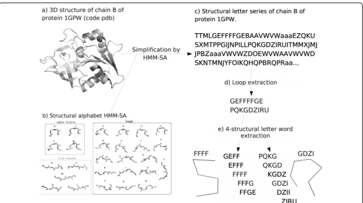 Figure 1 Loop-word extraction from chain B of protein 1GPW. a) 3D structure of the protein, b) the 27 structural letters of HMM-SA, c) structure simplification as a succession of structural letters, d) extraction of simplified loops, e) extraction of overl