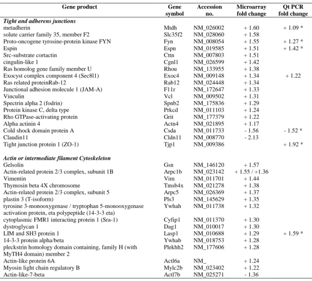 Table 2. List of selected up- and down-regulated genes in P20 Cldn11 -/-  testes. 