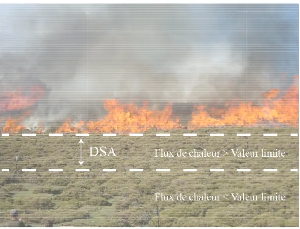 Figure 2.5 : Distance de Sécurité Acceptable lors d’un feu de végétation.