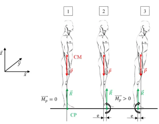 Figure 2 : Modèle du pendule inversé appliqué à la position orthostatique ; d’après Winter (1990)  En position 1, le CM se trouve à la verticale du CP