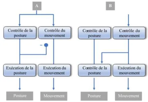 Figure 6 : Les deux modes d’organisation de la coordination entre la posture et le mouvement  selon Massion (1992) 