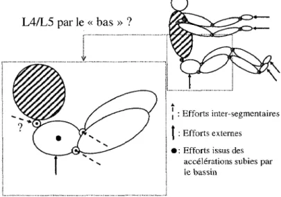 Figure 11.7: Calcul des efforts inter-segmentaires en L4/LS par la méthode« par le bas» 