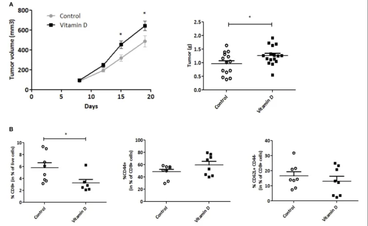 FIGURE 5 | Vitamin D increases EO771 tumor progression in overweight mice. EO771 cells were injected in the fat pad of the mammary glands (n = 8) of female mice fed with high-fat diet