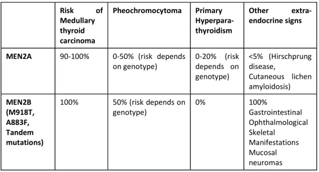 TABLE 1: Multiple Endocrine Neoplasia Type 2A and type 2B phenotypic characteristics and  lifetime risk of development