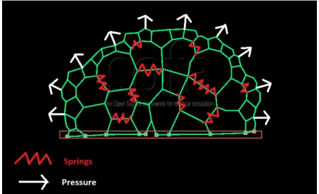 Figure 2.22 shows that the stiffness of the surface walls as well as the anticlinal walls of L1 are almost similar, or at least can’t be distinguished with such an optimization process.