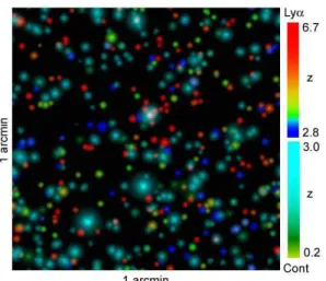 Fig 1: Simulated MUSE deep field. Galaxies are  coloured according to their apparent redshift