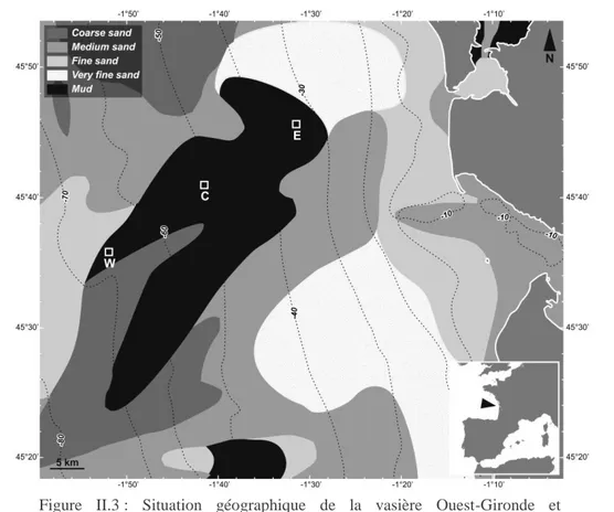 Figure  II.3 :  Situation  géographique  de  la  vasière  Ouest-Gironde  et  localisation des trois stations échantillonnées E, C et W