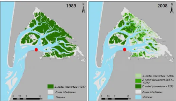 Figure 3 :Cartographie des changements de biomasse de Z. noltei entre 1989 et 2008  dans le bassin d’Arcachon d’après Plus et al