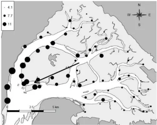 Figure 13: Spatial pattern of the Lawrence and Scott condition index LS CI  of  the wild Pacific oyster Crassostrea gigas in Arcachon bay
