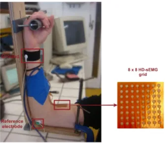 Figure 1.15: Example of an 8×8 HD surface electrode grid placed on the Biceps Brachii muscle (Refa 136, TMSI, Netherlands) [53].