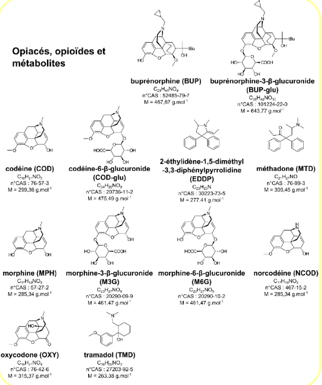 FIGURE 2.5 – Structures des opiacés, des opioïdes et de leurs métabolites sélectionnés 