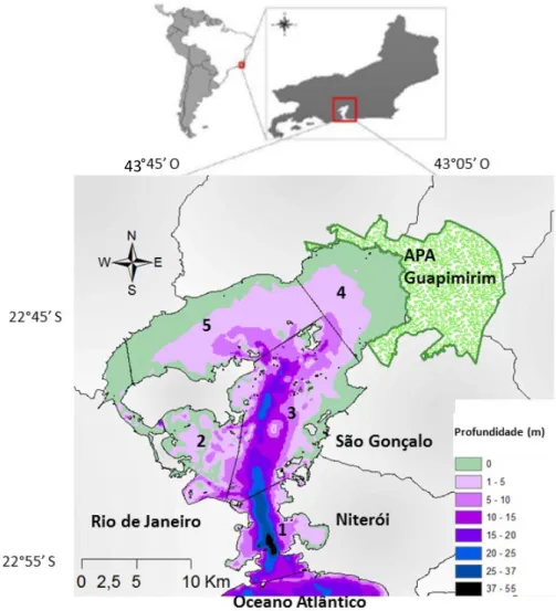 Figura  5.  Mapa da Baía de Guanabara. As diferentes cores representam as profundidades médias