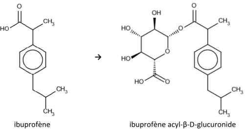Figure 4. Exemple de réaction de métabolisation de phase 2 : glucuroconjugaison d’ibuprofène