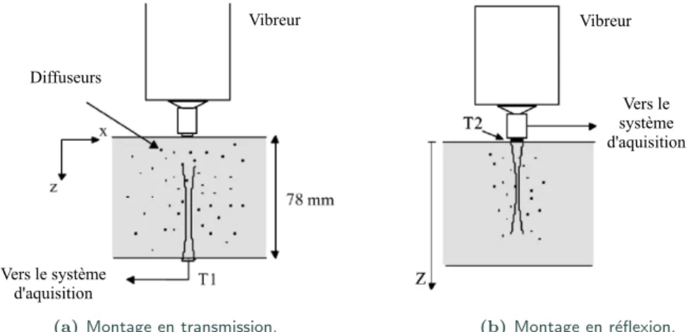 Figure 3.1 – Les deux configurations utilis´ ees en ´ elastographie impulsionnelle. Source : Sandrin et al