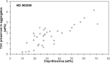 Fig. 10: TOC (wt% of the bulk sediment) preserved by aggregation with minerals is weakly  correlated with the Clay+Biosilica contents (wt%) for the deep core