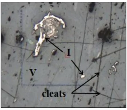 Figure 9- Exemple de microfractures (Cleats) dans le charbon du bassin de Paris ; V= Vitrinite, I= 