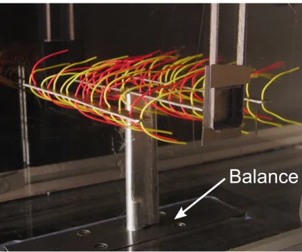 Figure 2.6 – Support de 50 ﬁlaments de 7.4 cm de long soumis à un écoulement de 20 m/s.