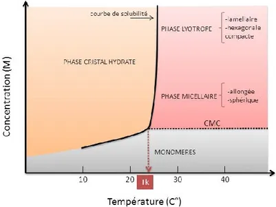 Figure 2-16 - Diagramme de phase d'un tensioactif ionique en fonction de la température (modifié d'après  Cases et Villieras, 1992) 